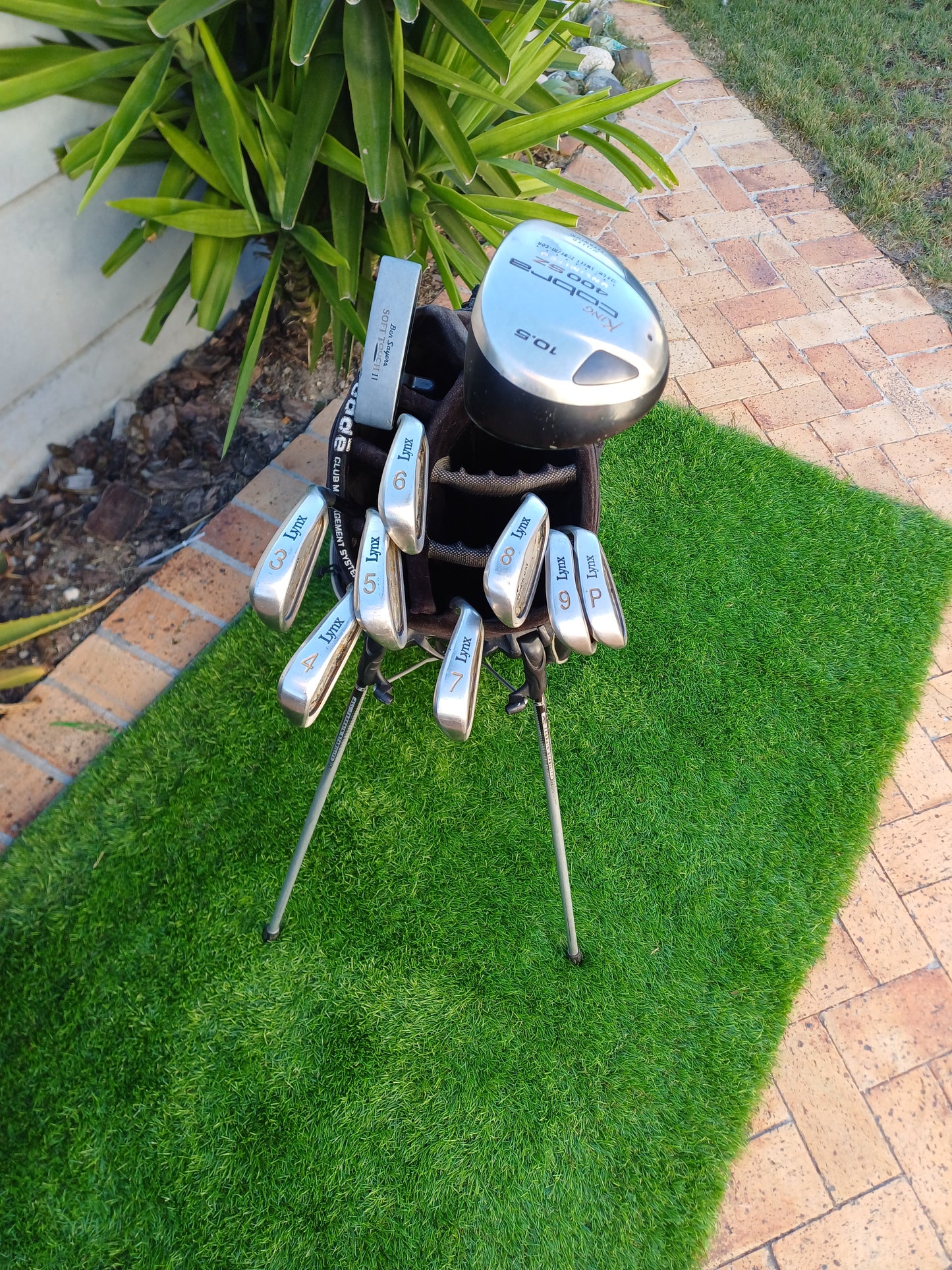 Complete Men's Starter Golf Set | King Cobra Driver | Lynx Graphite Irons